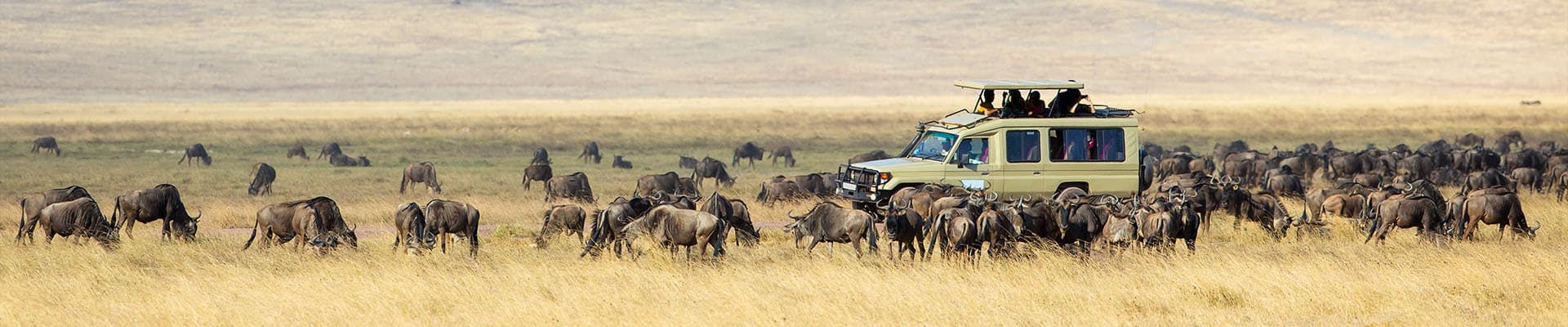 Circuitos Namibia