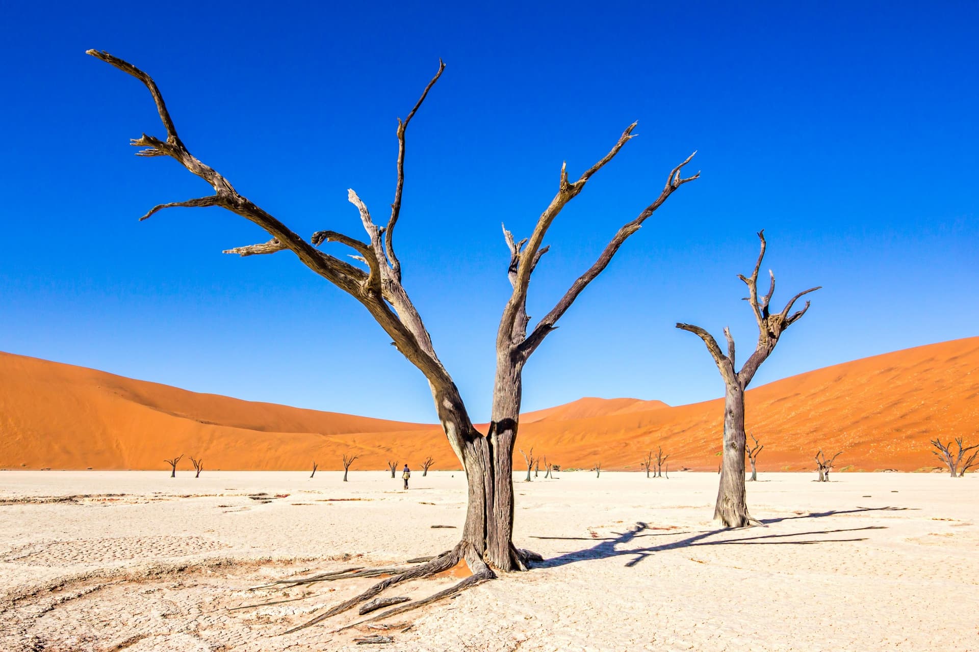 En el corazón del desierto del Namib