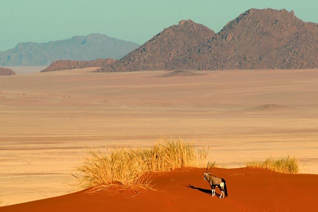 Primera descubrimiento del desierto